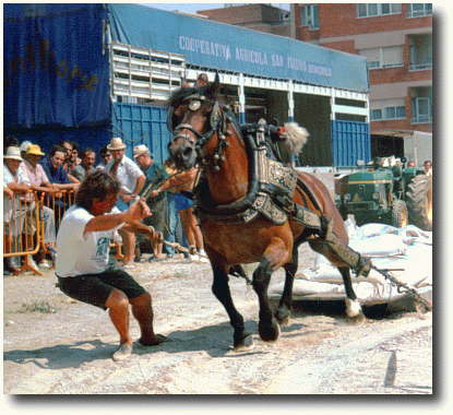 Concurso de Tiro y arrastre